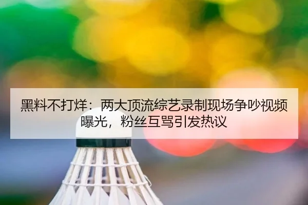 黑料不打烊：两大顶流综艺录制现场争吵视频曝光，粉丝互骂引发热议